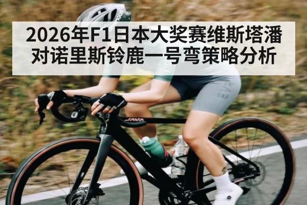 2026年F1日本大奖赛维斯塔潘对诺里斯铃鹿一号弯策略分析