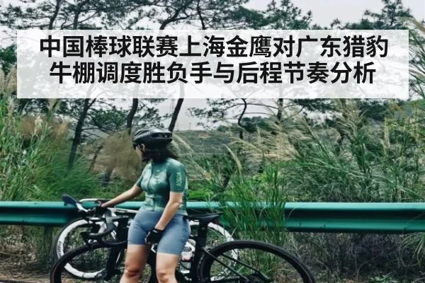 中国棒球联赛上海金鹰对广东猎豹牛棚调度胜负手与后程节奏分析 - kaiyun sports live